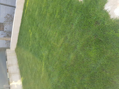 20200314_172233.jpg