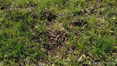 IMG_20200321_133739.jpg