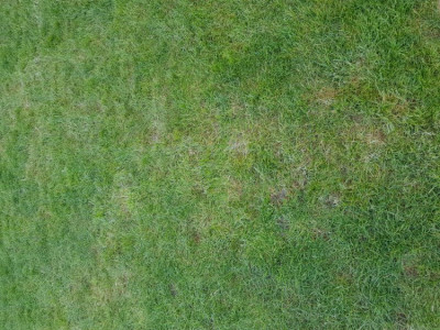 20200401_102320.jpg