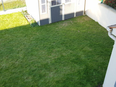 20200401_103034.jpg