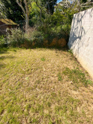 Jardin 3.jpg