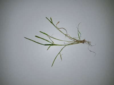 20200405_203258.jpg