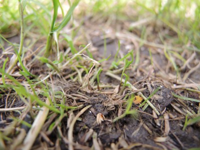 DSCN5510.JPG