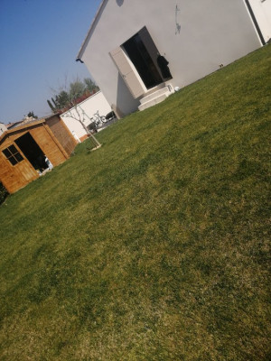 IMG_20200408_115954.jpg