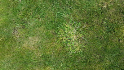 20200408_182318.jpg