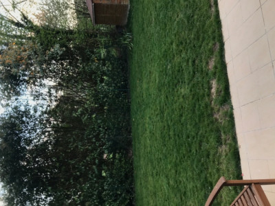 C1D36501-C0F3-483D-8DD3-64C9CA4340F1.jpeg