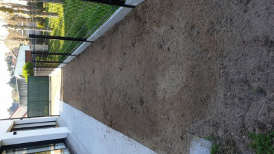 20200410_100113.jpg
