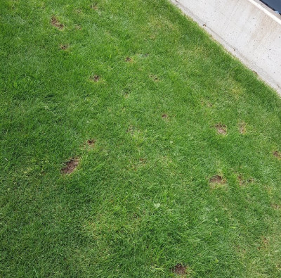 20200418_111713.jpg