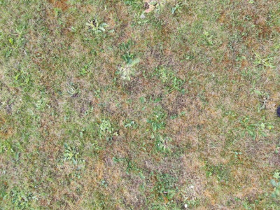 Terrain avant zoom