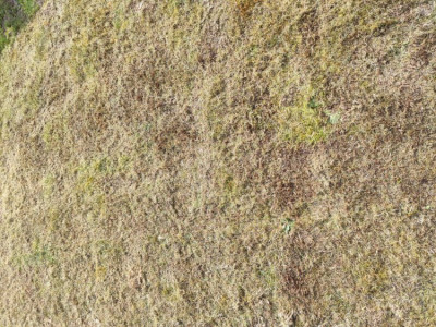 Terrain après zoom