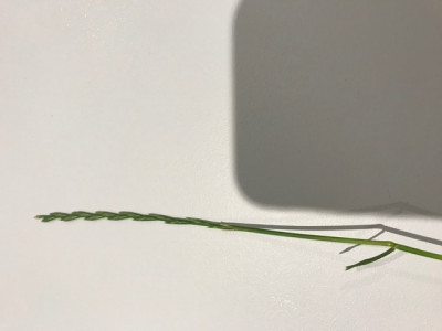 C7E7EF08-7098-40D6-8E0F-3CF05C08931A.jpeg