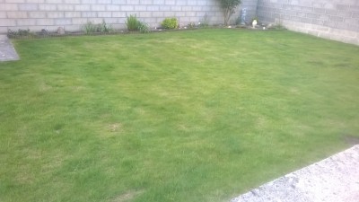 WP_20160514_001.jpg