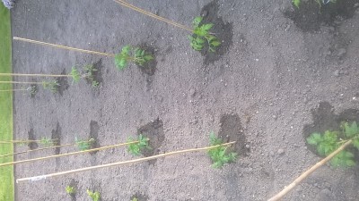 WP_20160514_010.jpg