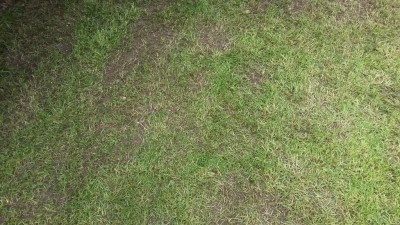 20160515_133652.jpg