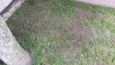 20160515_133702.jpg