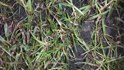20160515_162050.jpg