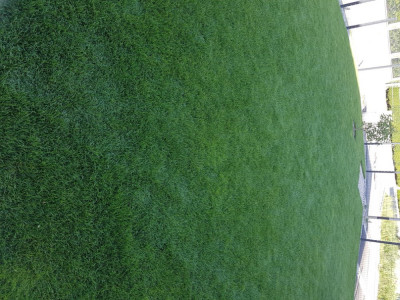 20200526_182037.jpg