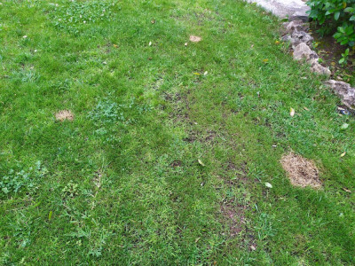 IMG_20200529_121038.jpg