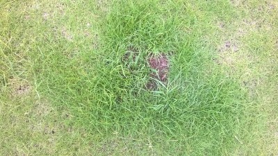 WP_20160521_003.jpg