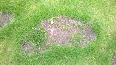 WP_20160521_017.jpg