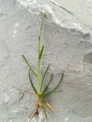 IMG_20200714_205636.jpg