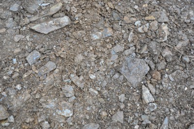 DSC_0002.JPG