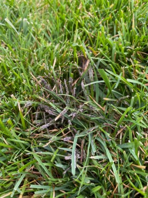 IMG_4476.jpeg