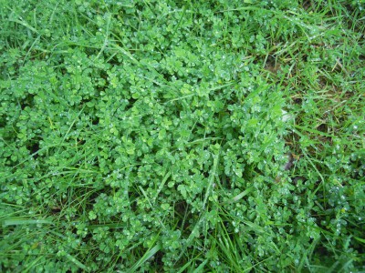 DSCN1814.JPG