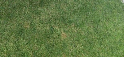 IMG_20200915_085812.jpg