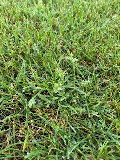 1600671124238_IMG_3293.jpg