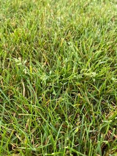 1600671121671_IMG_3291.jpg