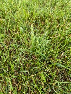 1600671119851_IMG_3290.jpg