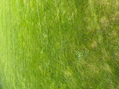 EE066C4A-E000-4B73-ABAA-6A0EE89A69D4.jpeg