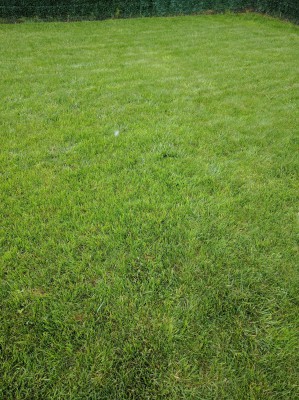 IMG_20160605_165959.jpg