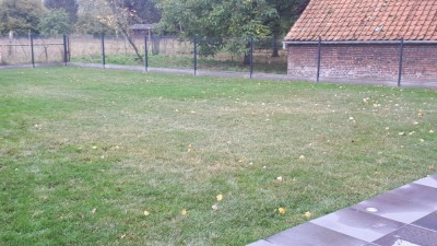 20201025_101554.jpg