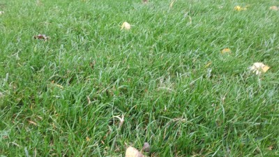 20201025_103332.jpg