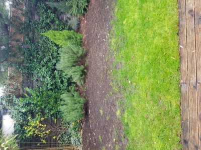 20201101_120704.jpg