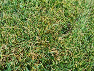 IMG_20201113_142358.jpg