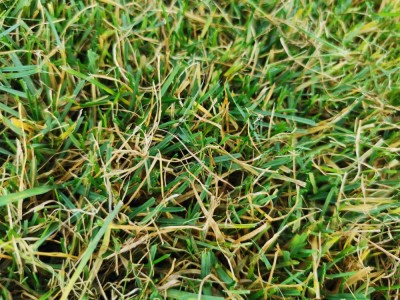 IMG_20201113_142401.jpg