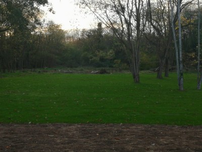IMG-20201113-WA0000.jpg