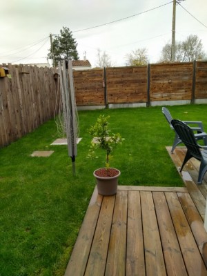IMG20201115131759.jpg