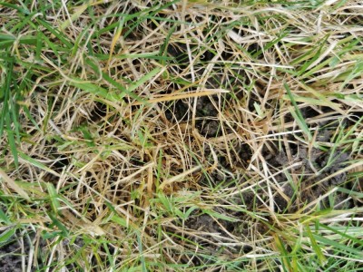 IMG_20201108_134315.jpg