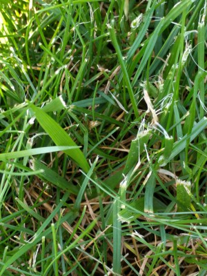 IMG_20160608_180530.jpg