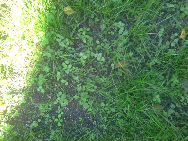 20131031_122809.jpg