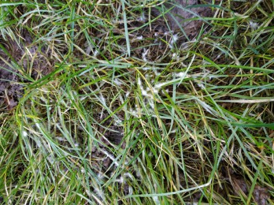 IMG_20201128_134423.jpg