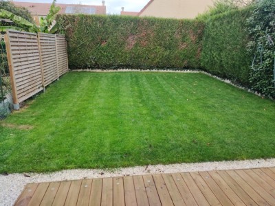 IMG_20201201_132655.jpg