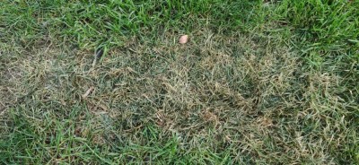 IMG_20201202_091640.jpg