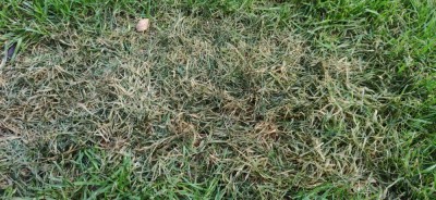 IMG_20201202_091646.jpg