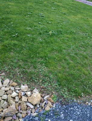 IMG_20201205_132509.jpg