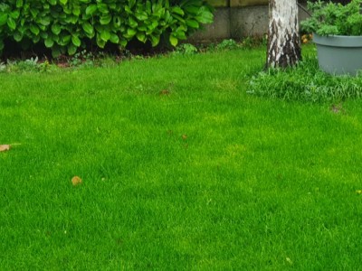 20201213_123006.jpg